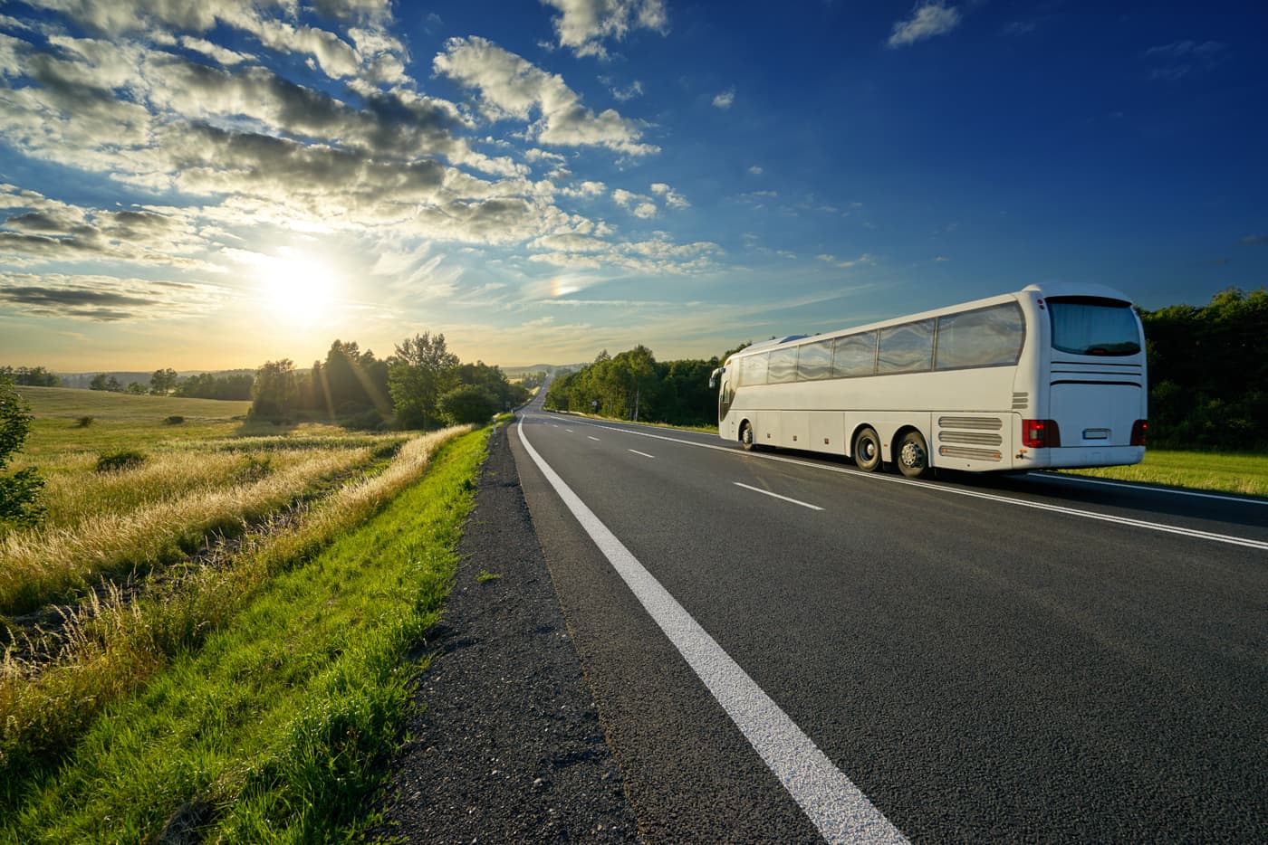 autobuses para grupos 