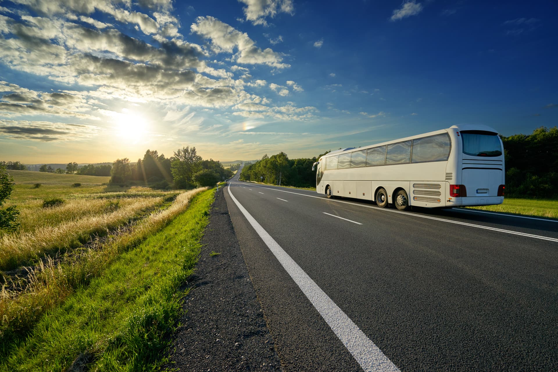 Autobus para excursion en Pontevedra