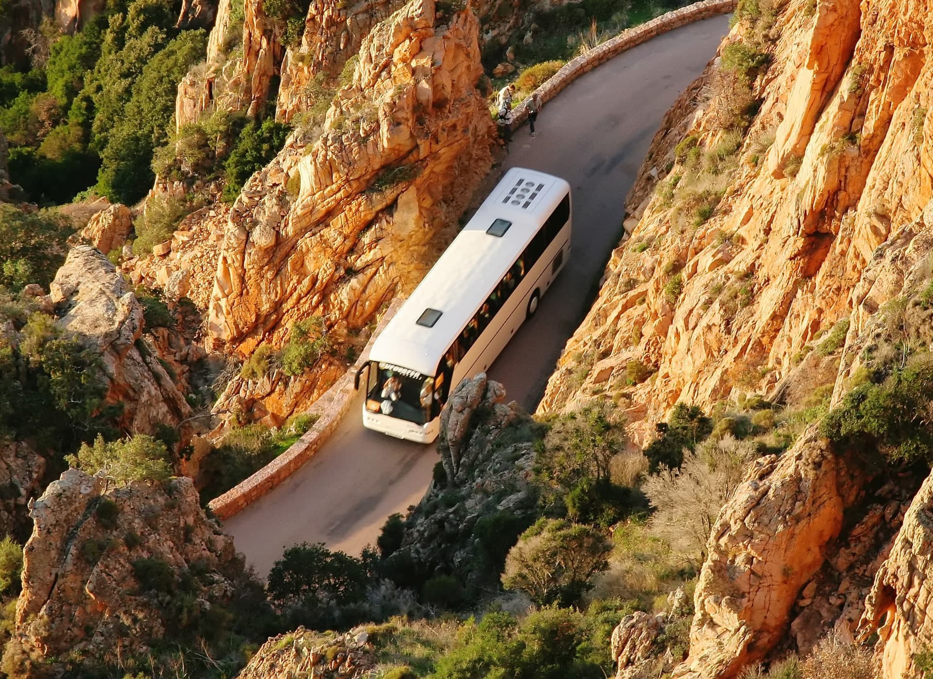 Servicios de gran calidad para el alquiler de autobuses